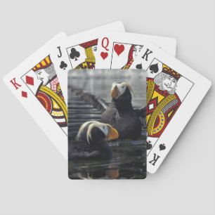 Alaska Tufted puffins Playing Cards