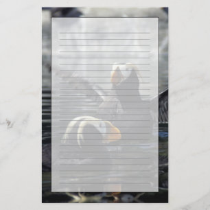 Alaska Tufted puffins Stationery