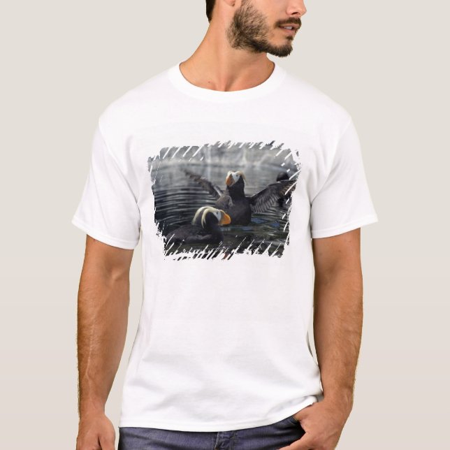 Alaska Tufted puffins T-Shirt (Front)