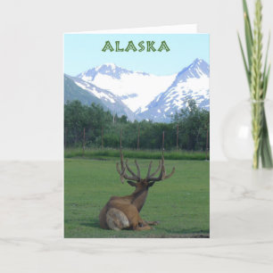 Alaska Wildlife Conservation Center - Card