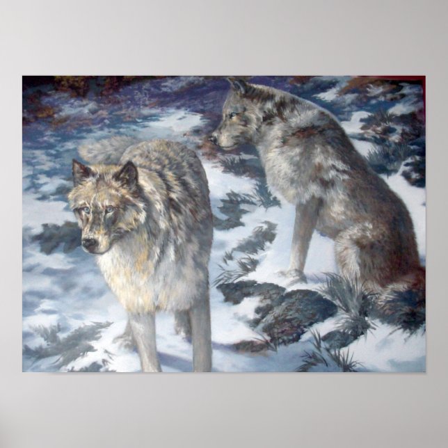 Alaska Wolf Pair in the winter poster (Front)