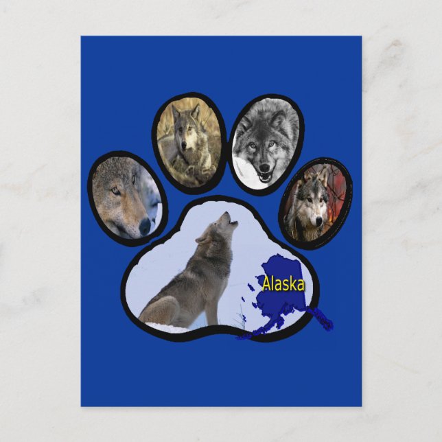 Alaska Wolf Paw Print Postcard (Front)