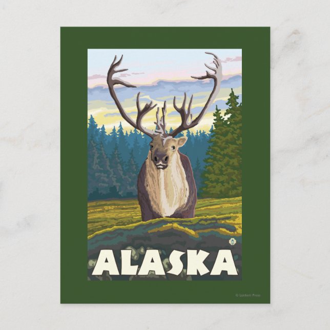 AlaskaCaribou in the Wild Vintage Travel Postcard (Front)