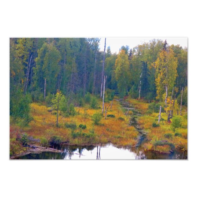 Alaskan Adventure- Landscape #6 Photo Print (Front)