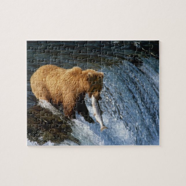 Alaskan Brown Bear Catching Salmon at Brooks Jigsaw Puzzle (Horizontal)