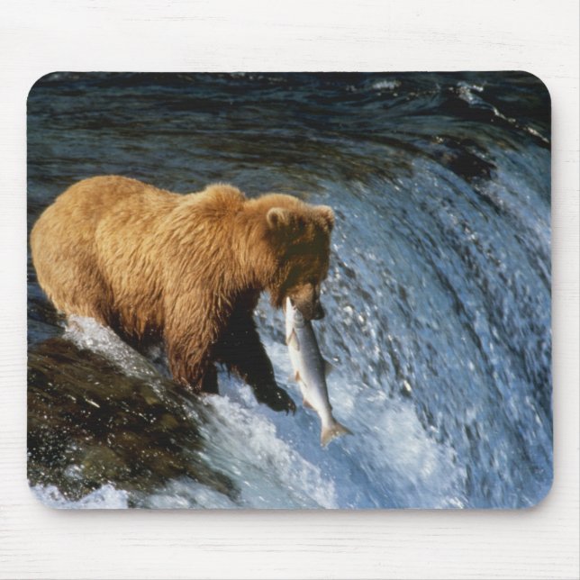 Alaskan Brown Bear Catching Salmon at Brooks Mouse Pad (Front)