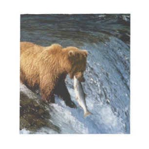 Alaskan Brown Bear Catching Salmon at Brooks Notepad
