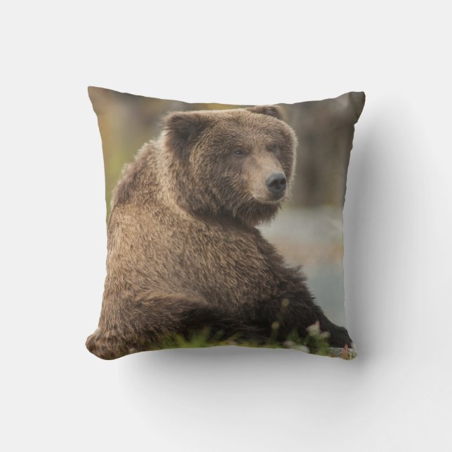 Alaskan Brown Bear Sitting Pillow (Front)