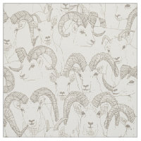 Alaskan Dall sheep natural pearl