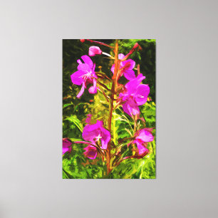 Alaskan Fireweed Pink Wildflower Abstract Canvas Print