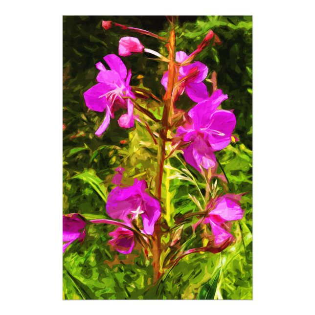 Alaskan Fireweed Pink Wildflower Abstract Photo Print (Front)