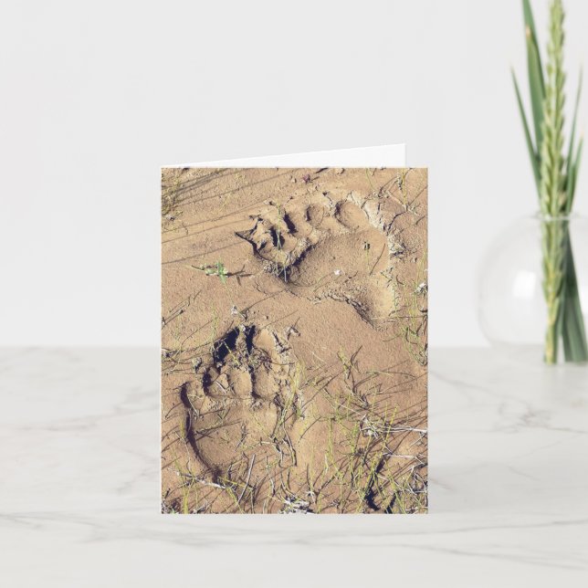 Alaskan Grizz Tracks - 4" x 5.6" Notecard (Front)