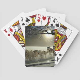 Alaskan Husky Dog Sled Race Playing Cards
