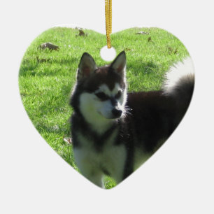 Alaskan Klee Kai Dog Ceramic Tree Decoration