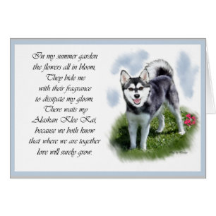 Alaskan Klee Kai Gifts