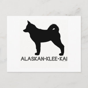 Alaskan Klee Kai Postcard