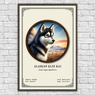 Alaskan Klee Kai Zoology Series Poster
