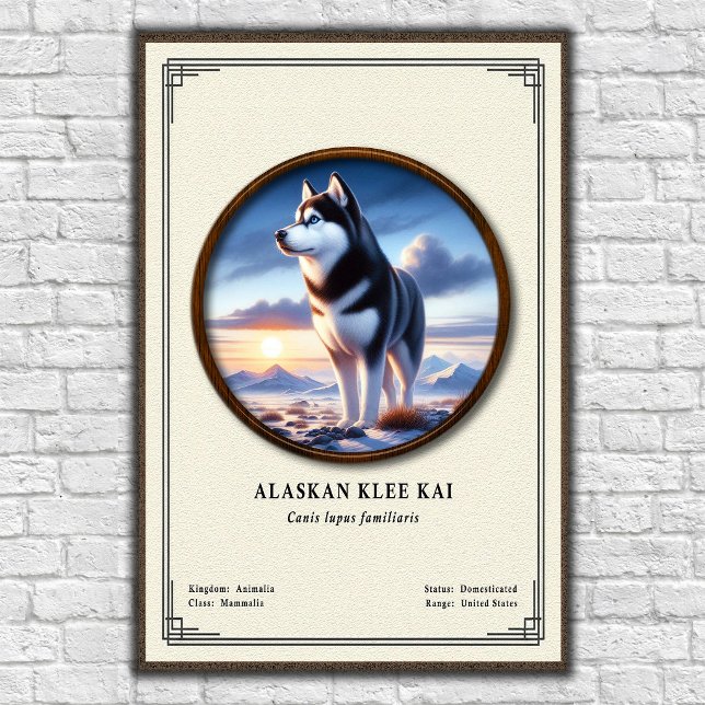 Alaskan Klee Kai Zoology Series Poster (Creator Uploaded)