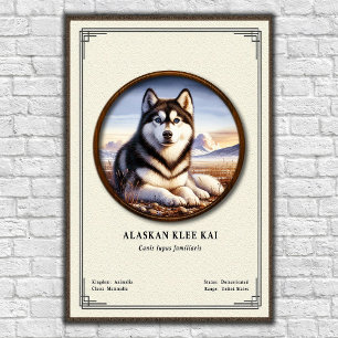 Alaskan Klee Kai Zoology Series Poster