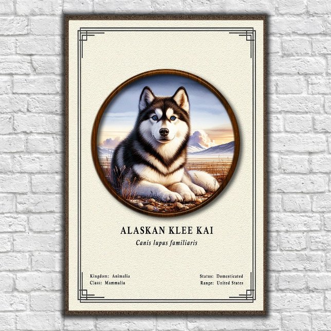 Alaskan Klee Kai Zoology Series Poster (Creator Uploaded)