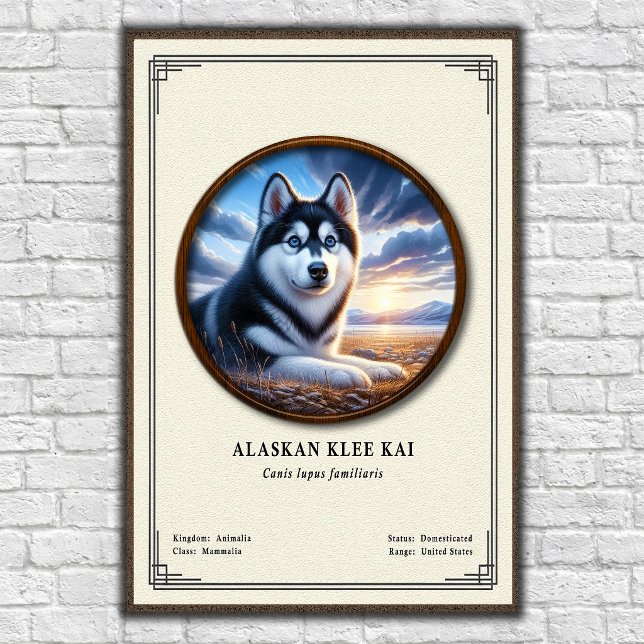 Alaskan Klee Kai Zoology Series Poster (Creator Uploaded)