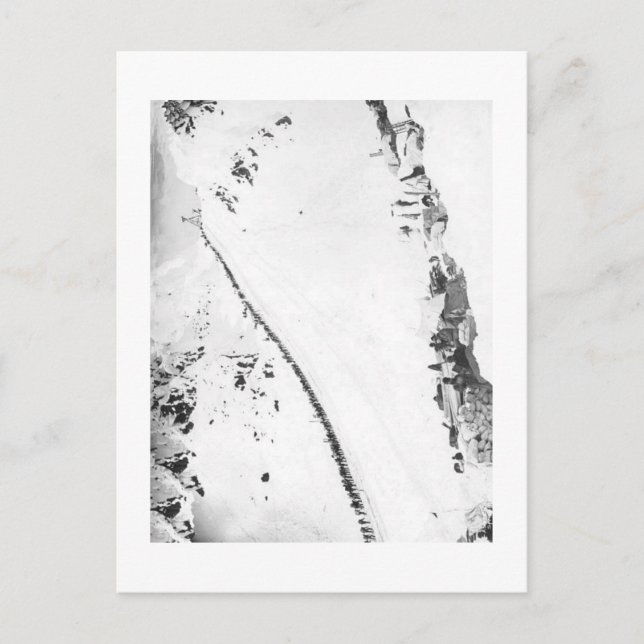 Alaskan Klondikers Postcard (Front)