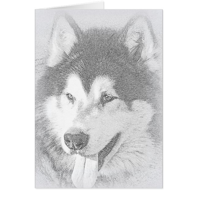 Alaskan Malamute (Front)