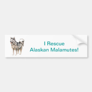 Alaskan Malamute Bumper Sticker