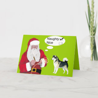 Alaskan Malamute Christmas Card
