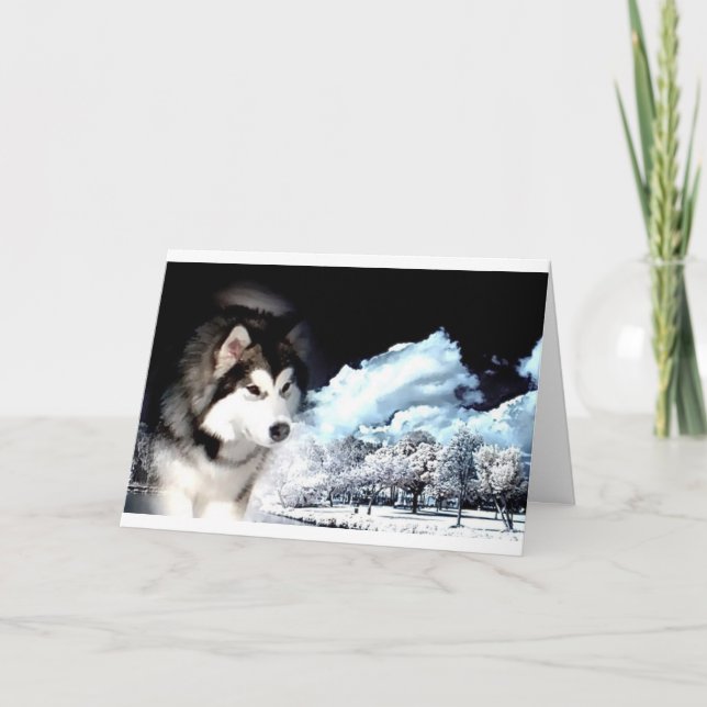 Alaskan Malamute Christmas Card (Front)