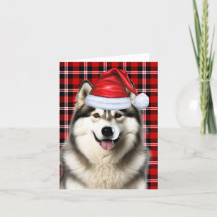 Alaskan Malamute Christmas Dog Holiday Plaid Card
