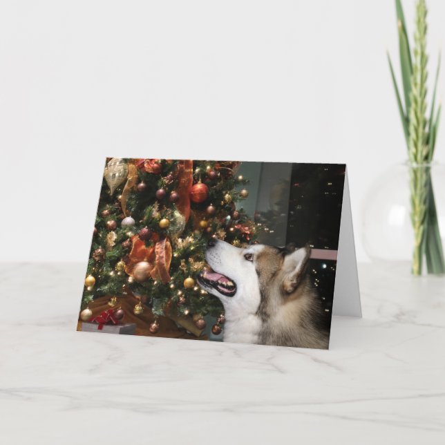 Alaskan Malamute Christmas Holiday Card (Front)