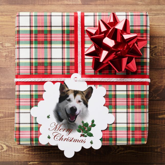 Alaskan Malamute Christmas Tree Decoration Card (Insitu (Gift))