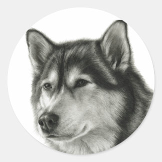 Alaskan Malamute Classic Round Sticker