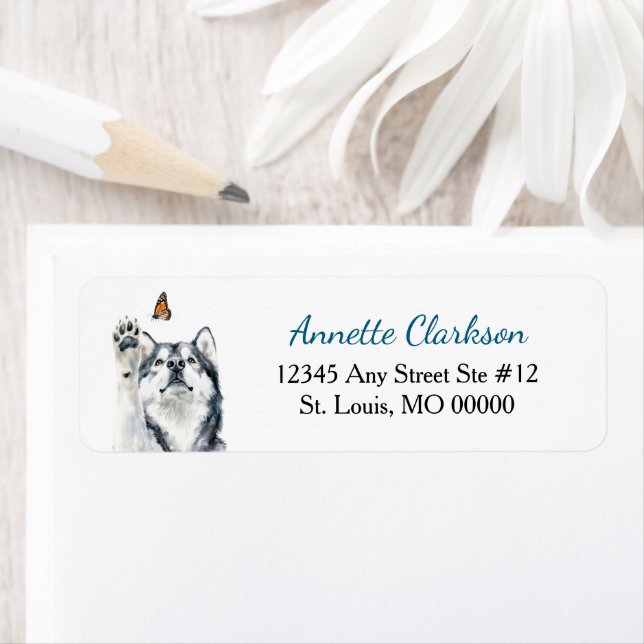 Alaskan Malamute Dog Butterfly Wonder (Insitu)