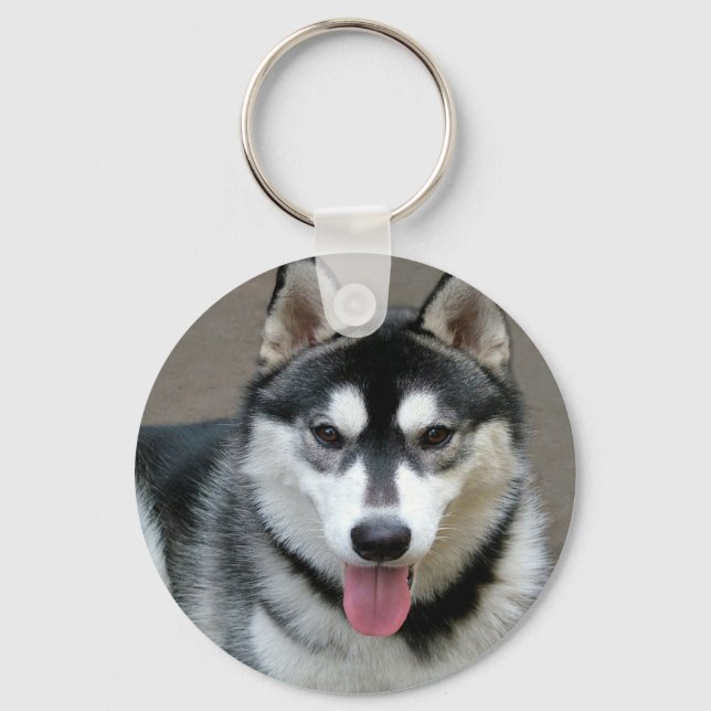 Alaskan Malamute Dog Photograph Key Ring (Front)
