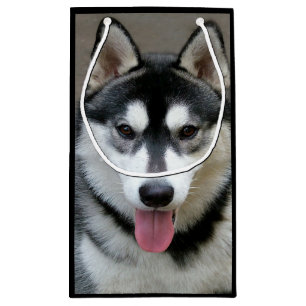 Alaskan Malamute Dog Photograph Small Gift Bag