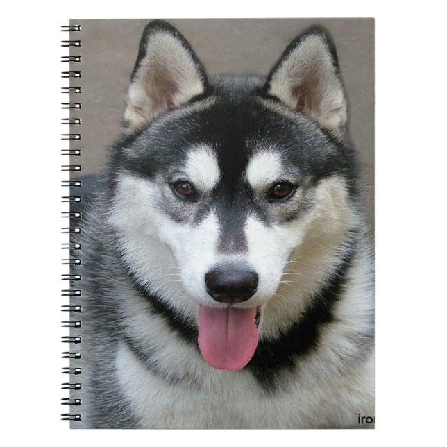 Alaskan Malamute Dog Photograph Spiral Notebook (Front)