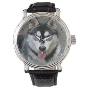 Alaskan Malamute Dog Photograph Watch