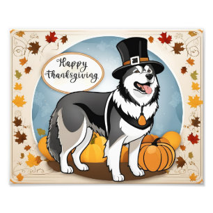 Alaskan Malamute Dog Pilgrim Happy Thanksgiving Photo Print