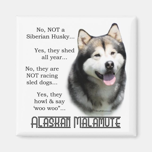 Alaskan Malamute FAQ Magnet (Front)