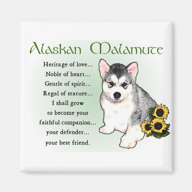Alaskan Malamute Gifts Magnet (Front)
