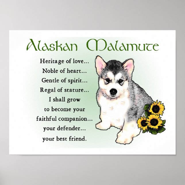 Alaskan Malamute Gifts Poster (Front)