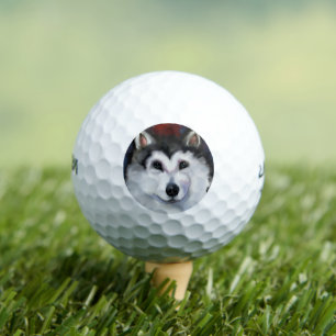 ALASKAN MALAMUTE GOLF BALLS