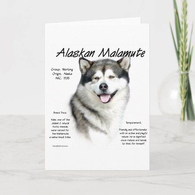 Alaskan Malamute History, All about Malamutes Holiday Card (Front)