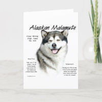 Alaskan Malamute History, All about Malamutes