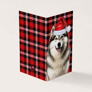 Alaskan Malamute Holiday Plaid Christmas Card