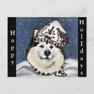 Alaskan Malamute Holiday  Postcard