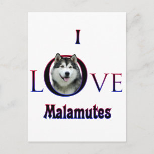 Alaskan Malamute I Love Postcard