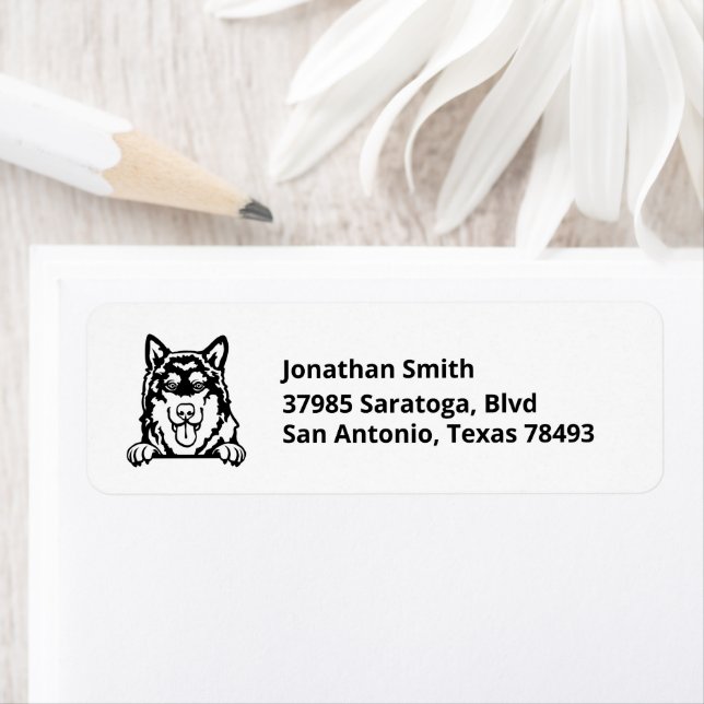 ALASKAN MALAMUTE | Image on Return Address (Insitu)